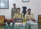 Chatra Raid: जपुआ मैदान के पास 9 लाख की ब्राउन शुगर के साथ दीपक गिरफ्तार, पुलिस ने मोबाइल चैट से खोला बड़ा राज!