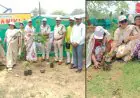 Jamshedpur Burmamines Greenery :  थाना परिसर में 'अस्तित्व' संस्था ने रोपे छायादार और फलदार वृक्ष, पुलिस अधिकारियों के बीच बांटी गई विशेष टोपियां!