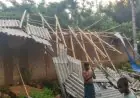 Jadugoda Storm Havoc : धोबनी गांव में कुदरत का विजुअल कहर, एस्बेस्टस की छतें उड़ने से खुले आसमान के नीचे आए दो परिवार!
