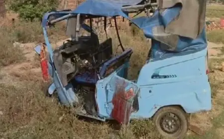 Palamu Collision : जपला-छतरपुर मार्ग पर बोरवेल ट्रक ने ऑटो को रौंदा, पैर कटने से चंद्रिका यादव की ऑन-फील्ड दर्दनाक मौत!