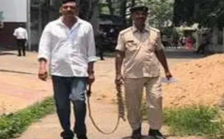 Golmuri Surrender :  कुख्यात रवि खेड़ा ने कोर्ट में टेके घुटने, गोलमुरी लोचन फायरिंग केस के बाद था फरार!