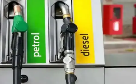 Fuel Price :  पेट्रोल-डीजल की कीमतों में आग से बढ़ेगी भयंकर महंगाई, क्रिसिल की रिपोर्ट ने उड़ाए होश! 10 रुपये तक बढ़ सकते हैं दाम, दूध-फल से लेकर सीमेंट-कपड़ा सब कुछ होने वाला है महंगा