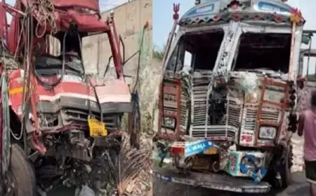 Jamshedpur Crash: दो ट्रकों में आमने-सामने भीषण भिड़ंत, सड़क पर बही कोल्ड ड्रिंक्स की नदियां तो बोतलें लूटने भागे लोग!