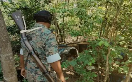 Patamda  Raid : जंगलों में चल रही थी महुआ शराब की बड़ी भट्ठियां, उत्पाद विभाग ने 1400 किलो जावा किया नष्ट!