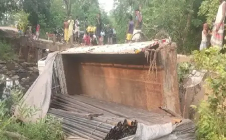 Jamshedpur Accident : होरगाड़ा पुलिया के नीचे गिरा लोहे के पाइपों से लदा बेकाबू ट्रक, टला भीषण और बड़ा खूनी मंजर!