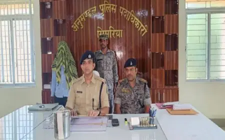 Chatra Opium Seized : सिकिदाग गांव में रविंद्र रविदास के घर पर आधी रात का छापा, 2 किलो से ज्यादा काली अफीम के साथ तस्कर गिरफ्तार!