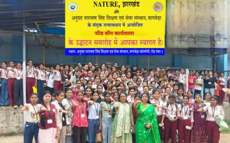 Jamshedpur Green Mission :  बागबेड़ा में लड़कियों ने तैयार किए सैकड़ों जादुई 'सीड बॉल्स', मानसून में बंजर पहाड़ियों को हरा-भरा करने का अनोखा विजुअल संकल्प!