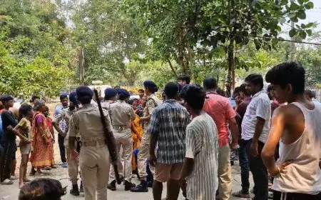 Patna Encroachment Drive : सचिवालय के बाहर फुटपाथ दुकानों पर चला बुलडोजर, मटन-मछली और देसी खाने के परम्परागत ठिकानों पर विजुअल ऐक्शन!