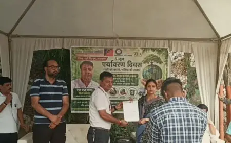 Mango Plantation Mission: सहारा सिटी में मानवाधिकार एसोसिएशन ने रोपे पौधे, प्रथम महिला मेयर सुधा गुप्ता को सौंपा 7 सूत्रीय विधिक मांग पत्र!