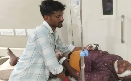 Bodam Bike Crash: डिमना लेक हलुदबनी में दो बाइकों की आमने-सामने भीषण टक्कर, बच्चा समेत तीन लोग लहूलुहान!