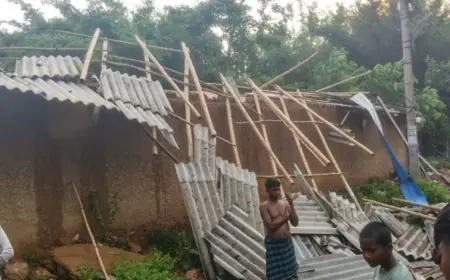 Jadugoda Storm Havoc : धोबनी गांव में कुदरत का विजुअल कहर, एस्बेस्टस की छतें उड़ने से खुले आसमान के नीचे आए दो परिवार!